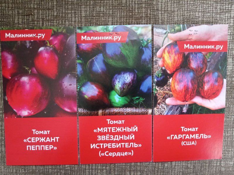 Необычные сорта томатов, которые стоит попробовать в теплице