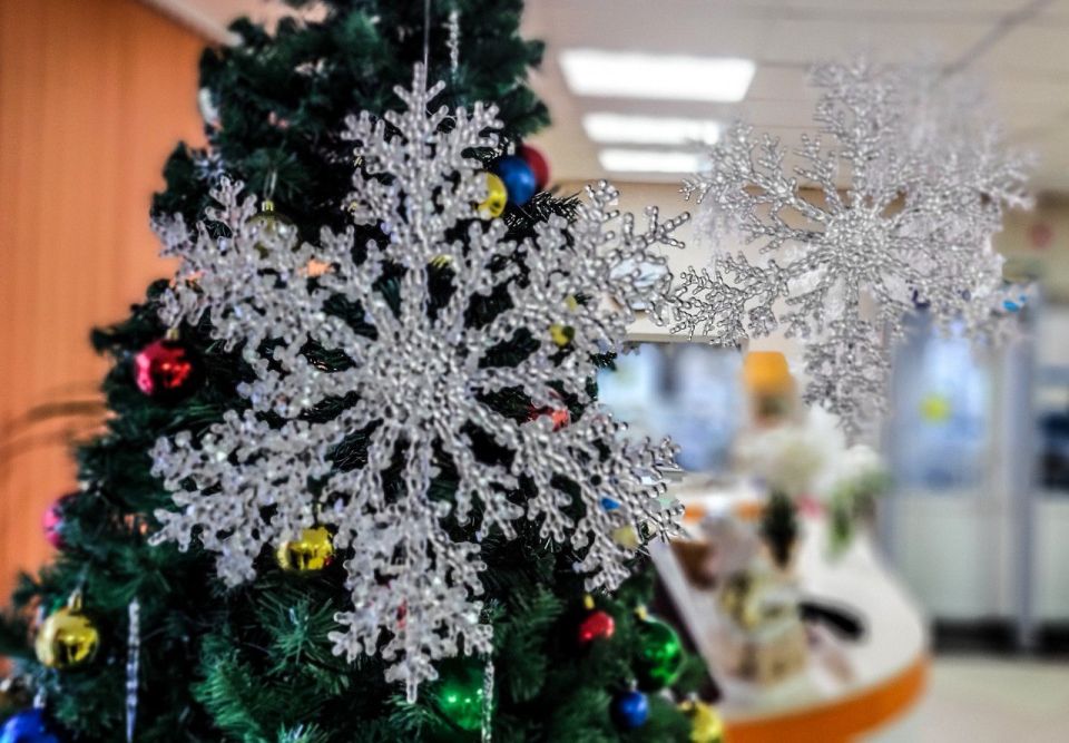 Атмосфера волшебства. Центральная библиотека уже в ноябре примеряет новогодний наряд и готовится встречать главный праздник года