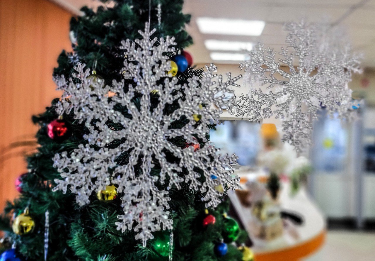 Атмосфера волшебства. Центральная библиотека уже в ноябре примеряет новогодний наряд и готовится встречать главный праздник года