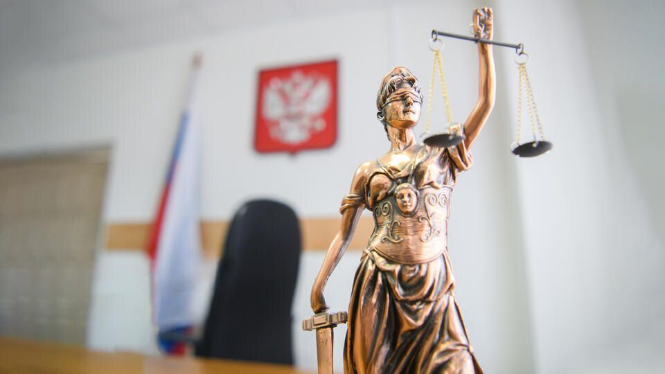 В России вводят пожизненное за вовлечение детей в диверсии