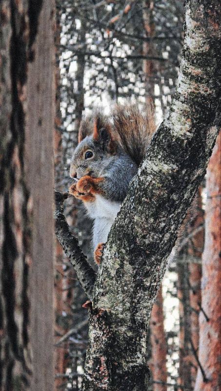 На старт.. Внимание.. Декабрь