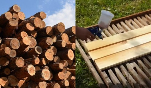 Как защитить древесину от гниению: самые эффективные средства и методы