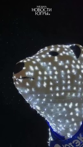 Белые медведи вернулись в Югру!