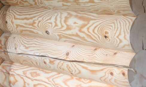 Трещины в дереве: природа, опасности и пути решения