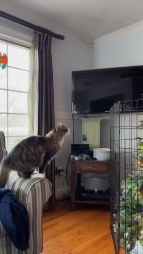 На календаре 2 декабря! Самое время - украшать ёлку