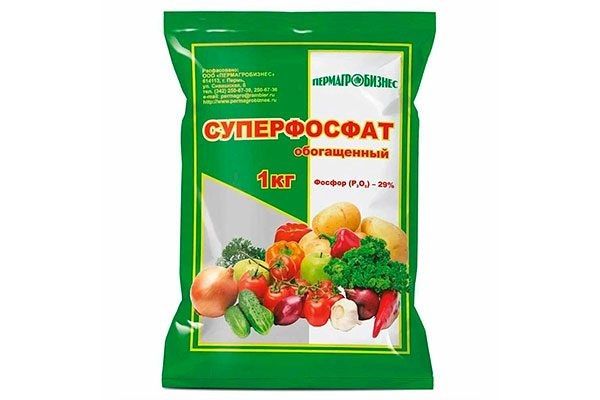 Секреты весеннего ухода за алычи: подкормка для богатого урожая