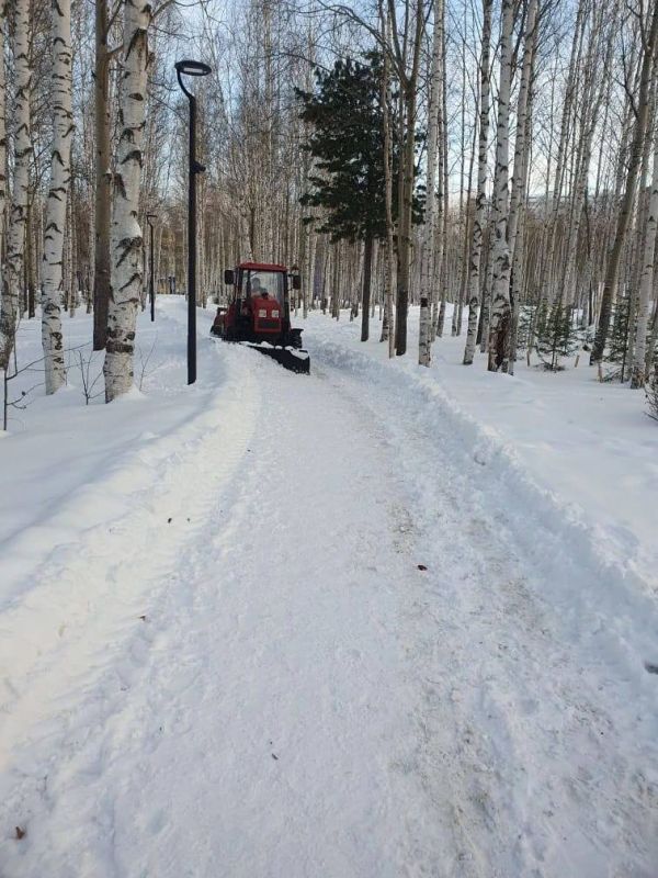 ������������ ������ �����. ������-�������� ���� - ���������