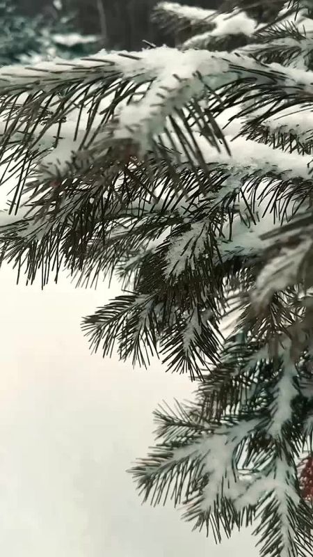 Напоминайте себе почаще, что цель жизни вовсе не в том, чтобы выполнить всё намеченное, а в том, чтобы наслаждаться каждым шагом, сделанным на жизненном пути