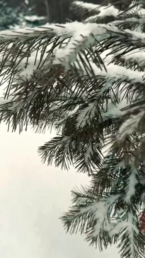 Напоминайте себе почаще, что цель жизни вовсе не в том, чтобы выполнить всё намеченное, а в том, чтобы наслаждаться каждым шагом, сделанным на жизненном пути