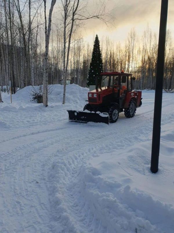 ������������ ������ �����. ������-�������� ���� - ���������