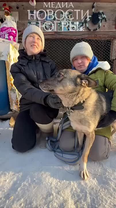 Хвостатое счастье начинается с заботы