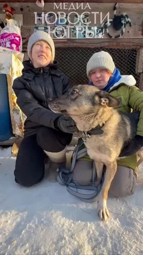 Хвостатое счастье начинается с заботы