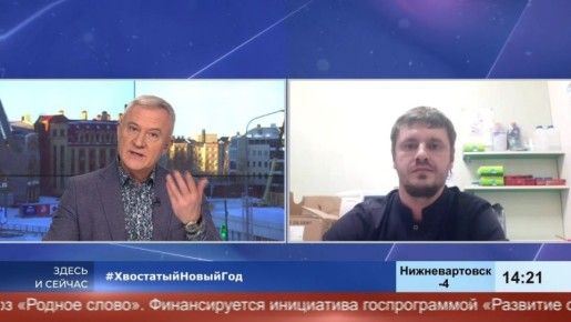 Ёлка в дом – собака в шоке