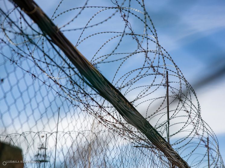 Ужесточение наказаний за вовлечение несовершеннолетних в терроризм: Россия принимает новые меры