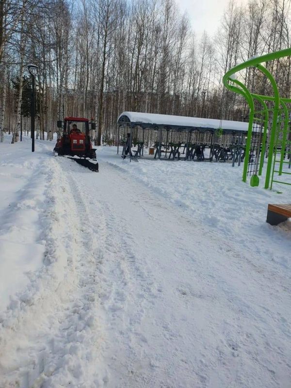 ������������ ������ �����. ������-�������� ���� - ���������