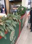 Торговые центры меняются: живые растения вместо искусственных – тренд, который покоряет пространство