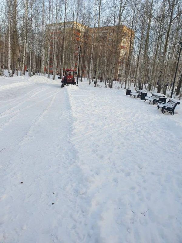 ������������ ������ �����. ������-�������� ���� - ���������