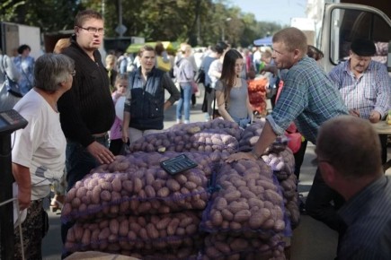 Как жители региона справляются с подорожанием картофеля