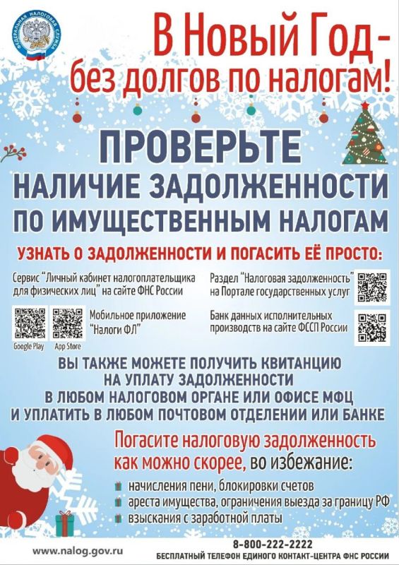 В Новый год – без долгов. 1 декабря истек срок уплаты имущественных налогов и НДФЛ за 2024 год