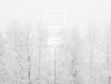 Цвет фотографий легендарного вартовчанина Ромы Гостева стал цветом 2026 года: