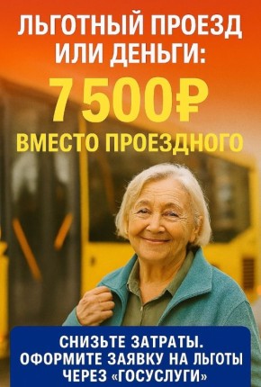 Льготы на проезд в 2025 году: выбирайте деньги или привычный проездной