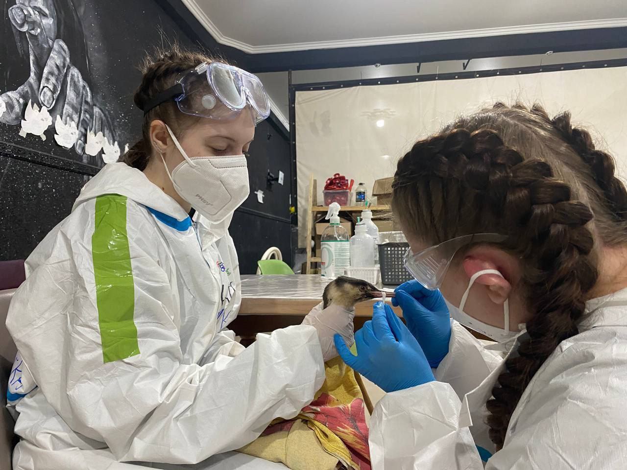 Дмитрий Кощенко: Дорогие волонтёры и добровольцы нашего города! Уважаемые нижневартовцы! От всего сердца поздравляю вас с Днём добровольца (волонтёра)! Дмитрий Кощенко: Дорогие волонтёры и добровольцы нашего города! Уважаемые нижневартовцы! От всего сердца поздравляю вас с Днём добровольца (волонтёра)!