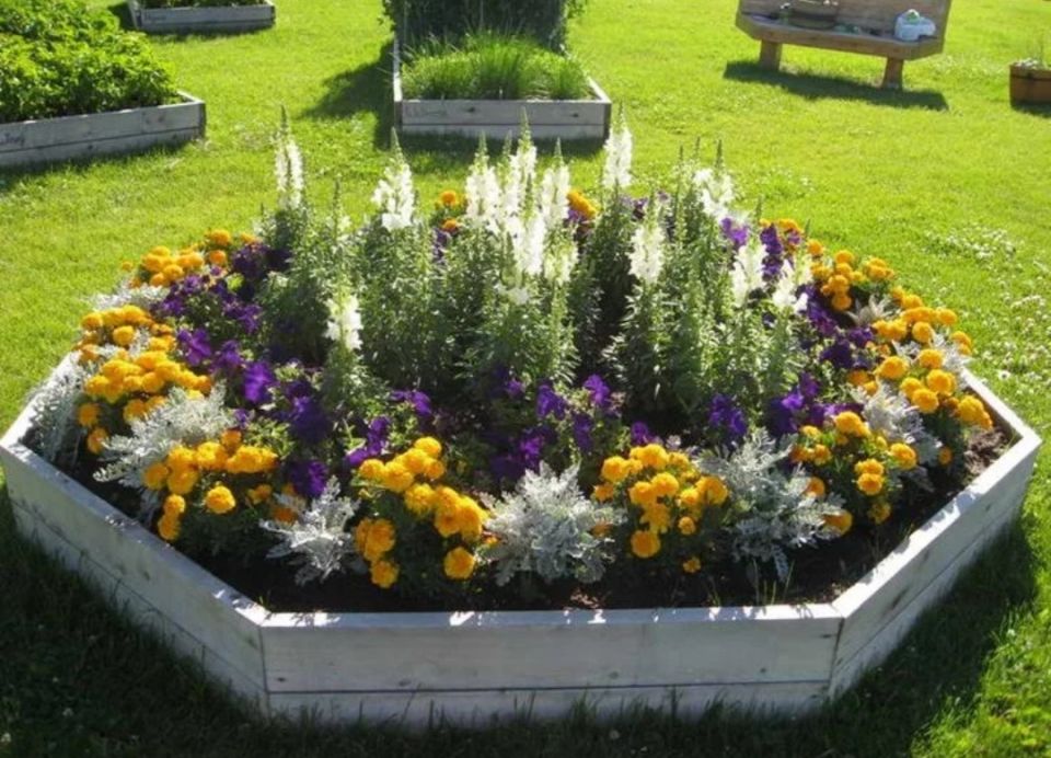 ��� ���������: ��� ������� ��������� ������� ��� ������ ����