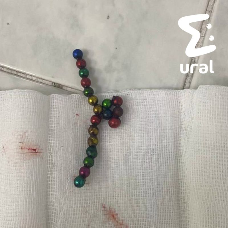 � ���� ���������� ������� ��������� ��������� ����������� � ���� �� �����