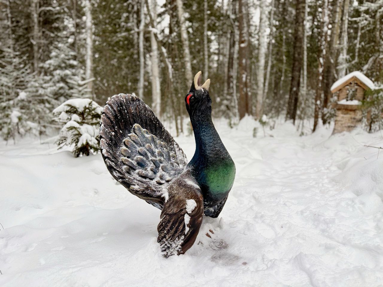 Дмитрий Кощенко: Нижневартовск стремительно превращается в зимнюю новогоднюю сказку Дмитрий Кощенко: Нижневартовск стремительно превращается в зимнюю новогоднюю сказку