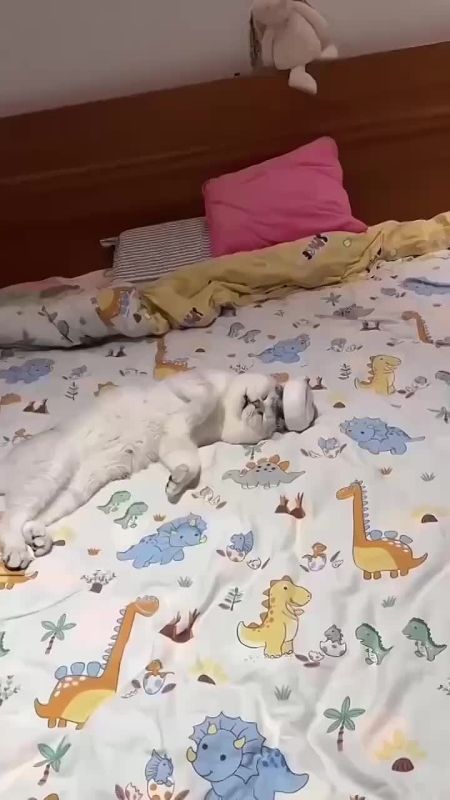 �� ����� - 30�, �� ������ ���� ����� 24 ���, � ������� ����������� � ���� ���������� ������ �� ����