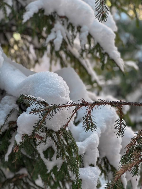 � ������� ��� ����� ���������� ������, ������