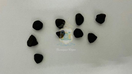 В Нефтеюганске вынесен обвинительный приговор местному жителю, пытавшемуся реализовать крупную партию гашиша