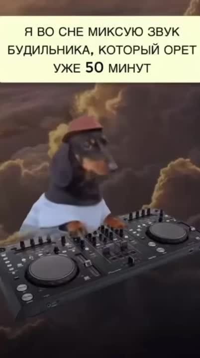 �������� ������� ����, ������� ������� � �������� ������ � ��������