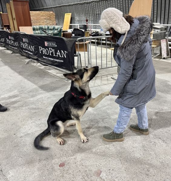 � �������� ��������� ������ ������������������ ���������� ����������