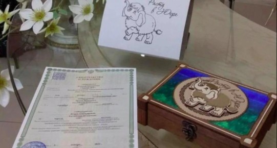 Первенцы мигрантов останутся без подарков и выплат