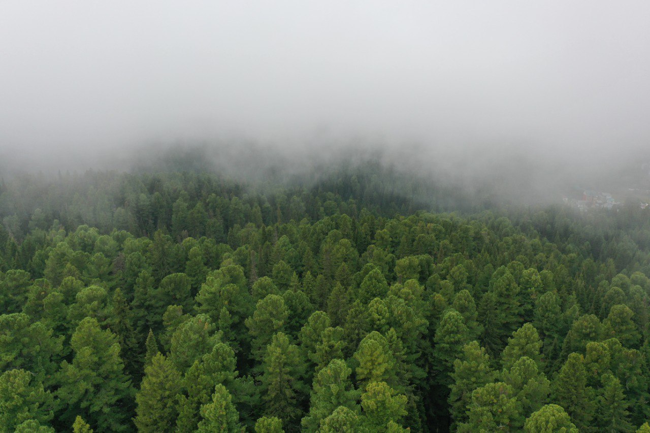 Максим Ряшин: Уважаемые югорчане! Дорогие земляки! Максим Ряшин: Уважаемые югорчане! Дорогие земляки!
