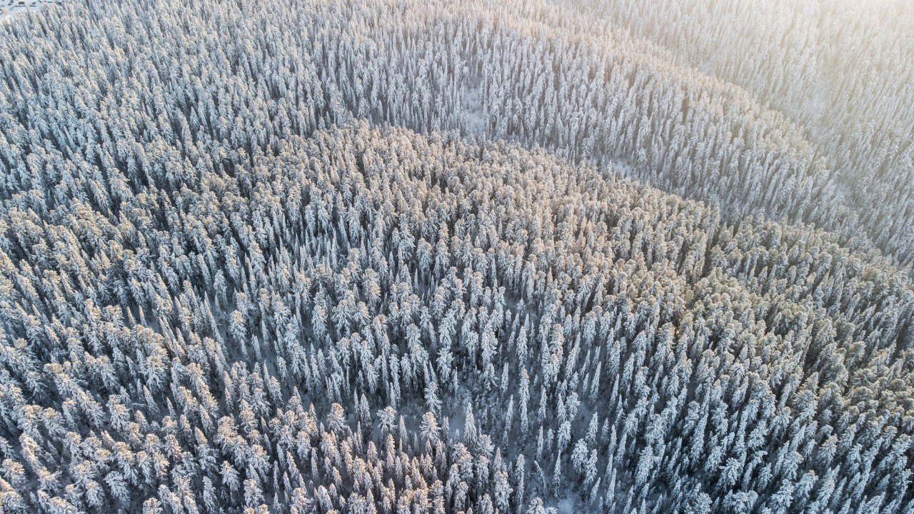 Максим Ряшин: Уважаемые югорчане! Дорогие земляки! Максим Ряшин: Уважаемые югорчане! Дорогие земляки!