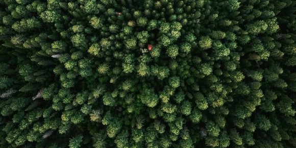 К своему 95-летию Югра получила особый подарок