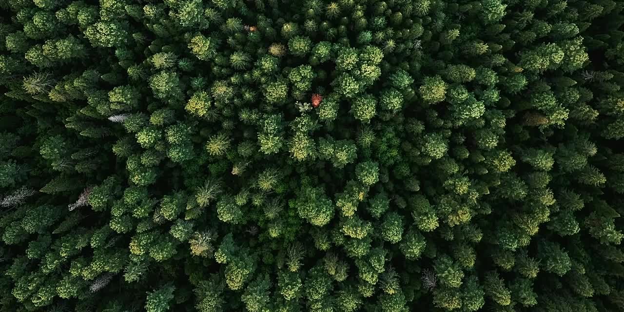 К своему 95-летию Югра получила особый подарок