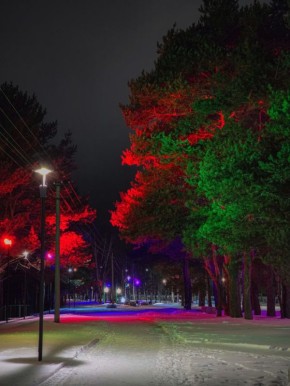 ��������� ��������, ���������