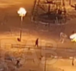 �� ����� �������� ��������������� � ������������� ���� ���������� NV86 �������� ���������-����������