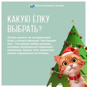 �����, ������ � ������ ������� ����� ��������� ���������� ����������� � ���������� �����: �������� ����� ��������, ������ �������� � ������, ������ ������� �������