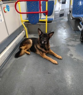 ������ �������� �� ��������� � ������� ��������� �������