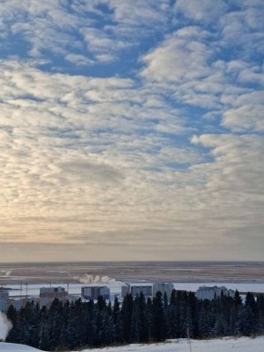 ����� - ��� ���������� �����������, ������� ����� ������������ ������ ����