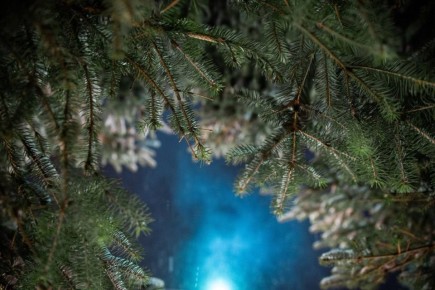 ��������, ��������� ������������, ������ ����������� ��������� ������ ����� ������