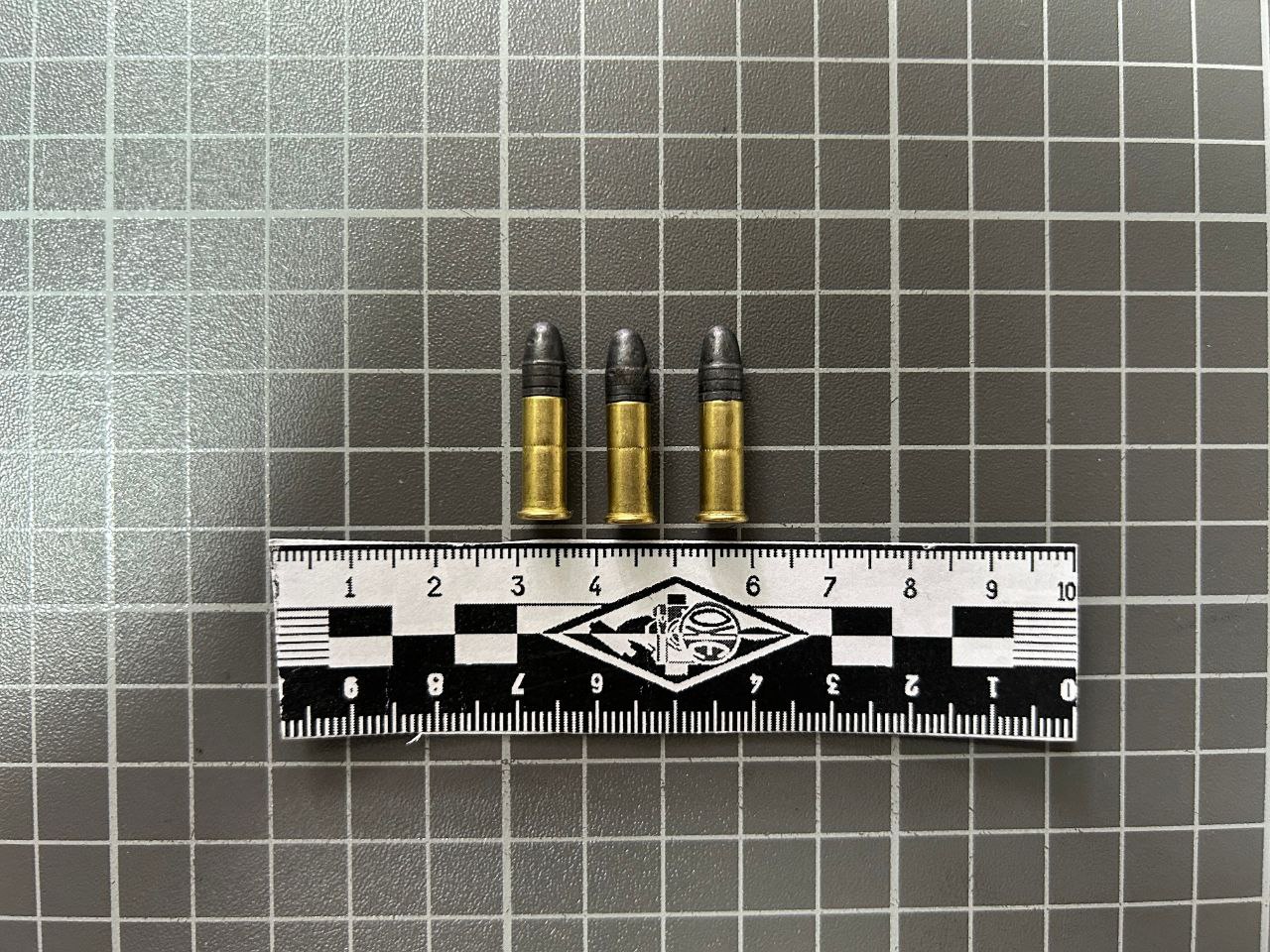 Жительница Нефтеюганского района осуждена за пособничество в незаконном хранении боеприпасов и за передачу оружия Жительница Нефтеюганского района осуждена за пособничество в незаконном хранении боеприпасов и за передачу оружия