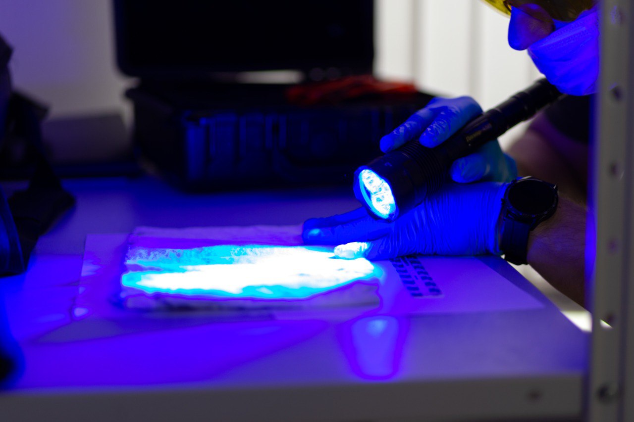 Следственными органами СК России устанавливаются обстоятельства убийства жителя Октябрьского района