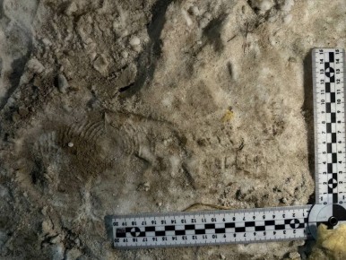 В Мегионе полицейские раскрыли кражу имущества из гаража В дежурную часть ОМВД России по городу Мегиону поступило заявление от местного жителя о хищении личного имущества