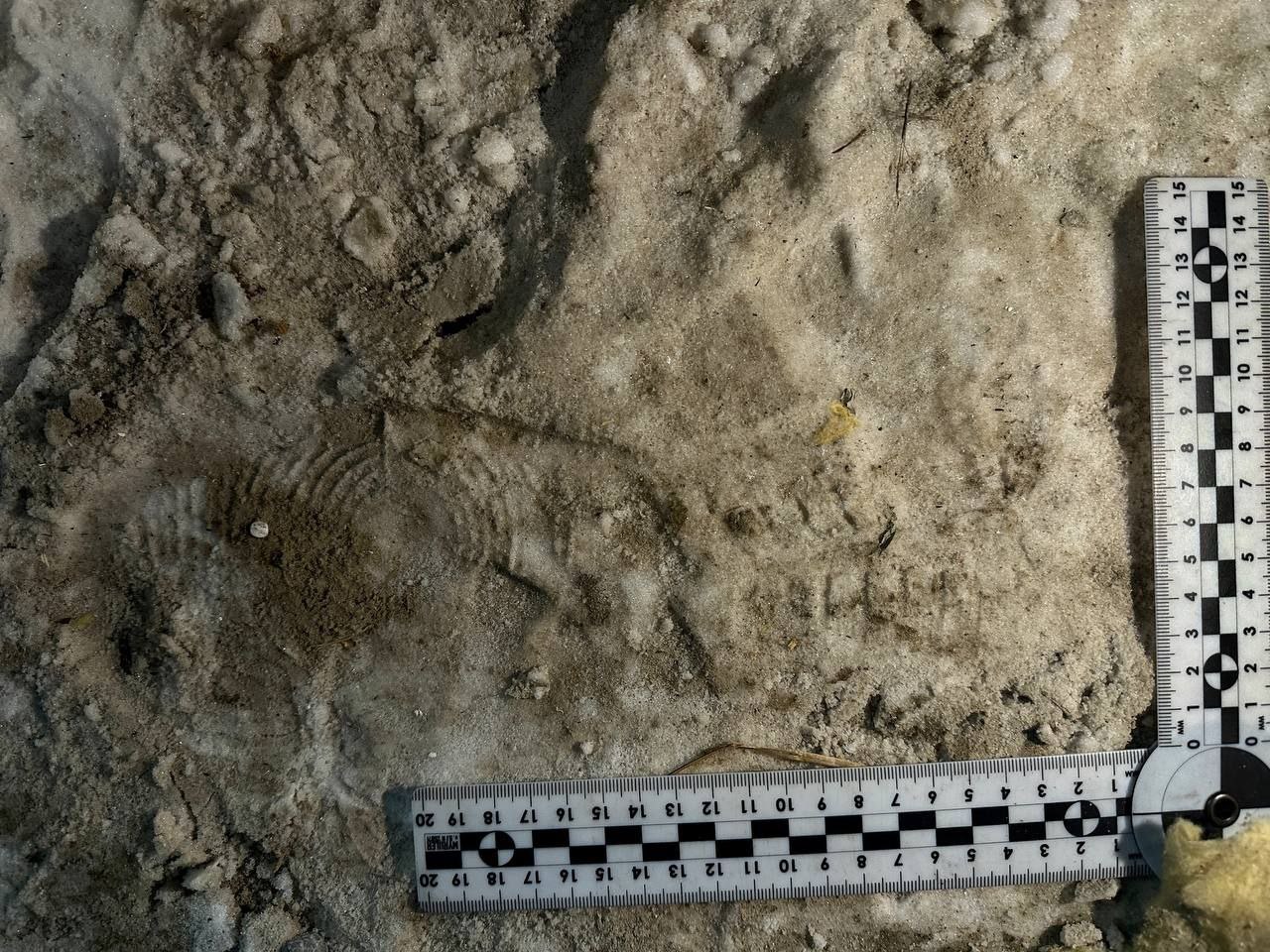 В Мегионе полицейские раскрыли кражу имущества из гаража В дежурную часть ОМВД России по городу Мегиону поступило заявление от местного жителя о хищении личного имущества