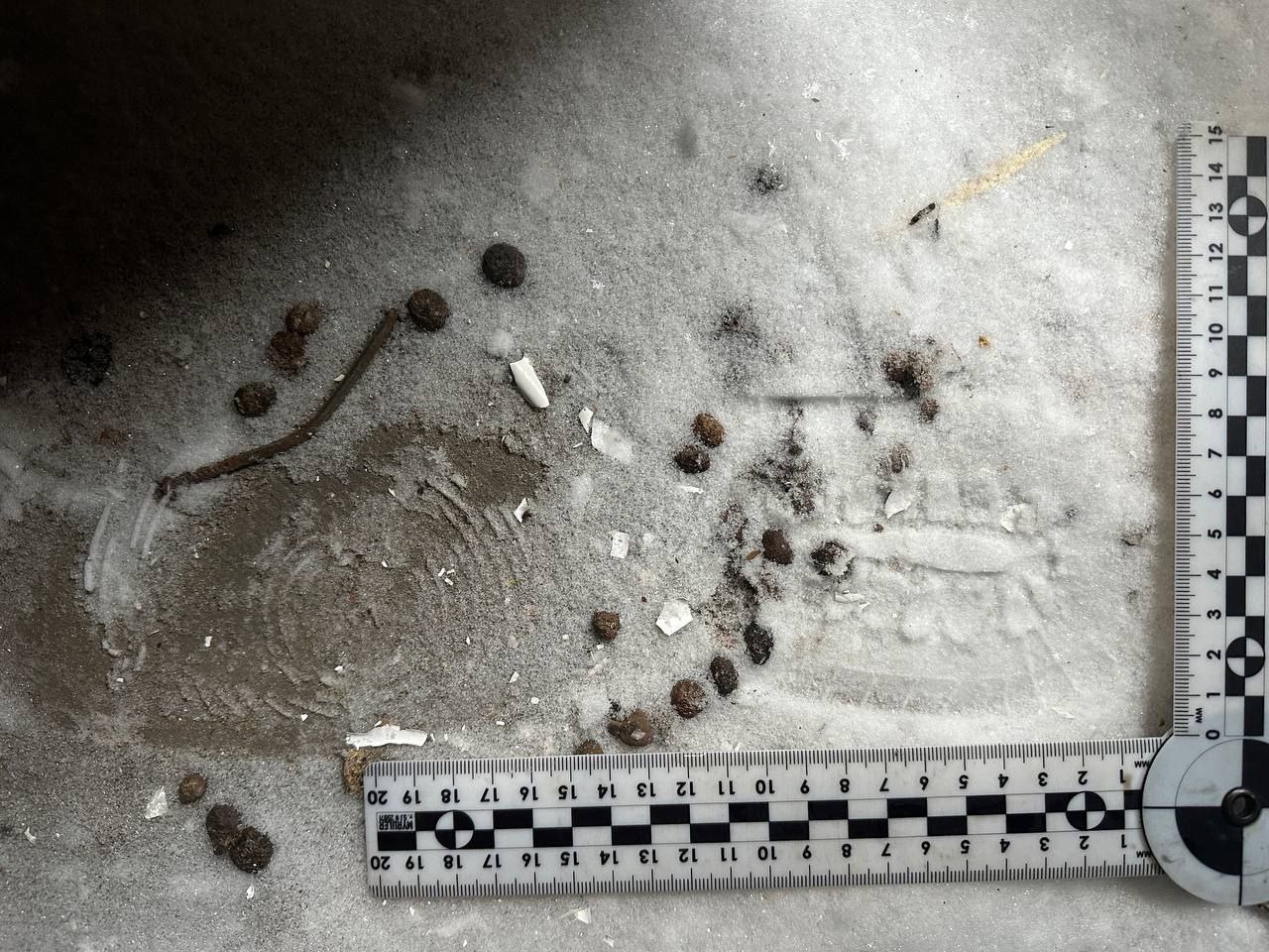 В Мегионе полицейские раскрыли кражу имущества из гаража В дежурную часть ОМВД России по городу Мегиону поступило заявление от местного жителя о хищении личного имущества В Мегионе полицейские раскрыли кражу имущества из гаража В дежурную часть ОМВД России по городу Мегиону поступило заявление от местного жителя о хищении личного имущества